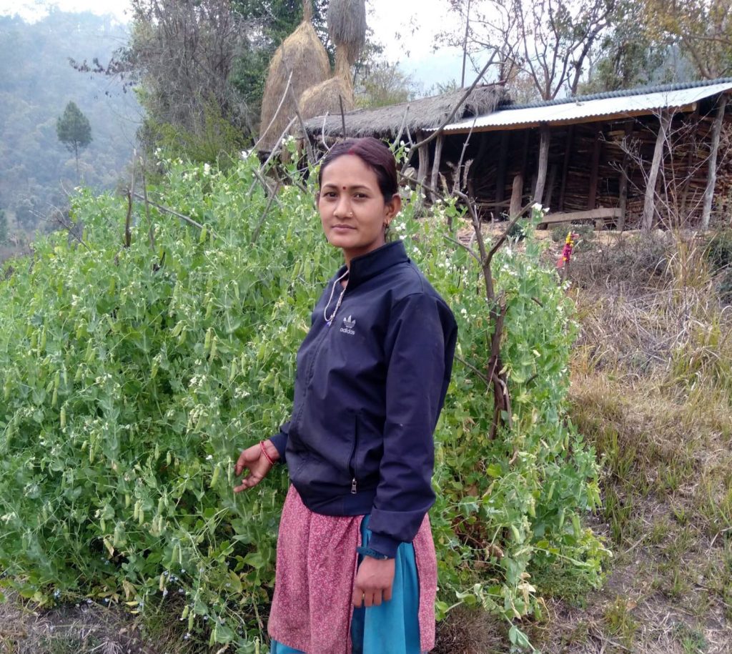 Parbati Buda Kshetri Jethara is standing in fron of her farm.